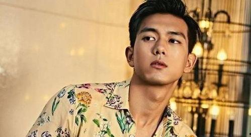 娱乐圈吃瓜男明星,揭秘那些吃瓜男明星的幕后故事